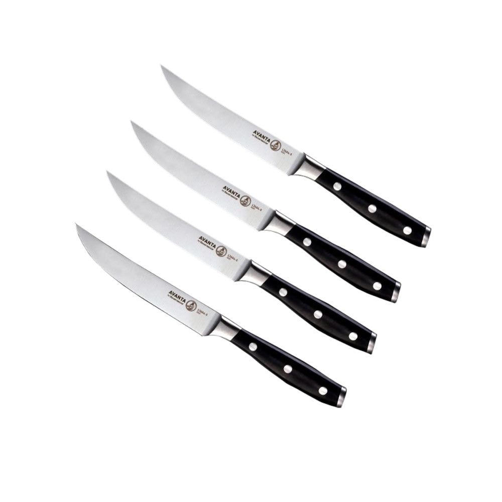 Messermeister Avanta Pakkawood Starter Knife Set