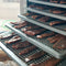 LEM Mighty Bite 6-Tray Dehydrator for Jerky Meat Vegetables Fruits 800W