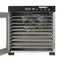 LEM Big Bite 10-Tray Dehydrator for Jerky Meat Vegetables Fruits 800W 1731-LEM