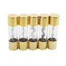 Pack of 5 Car Audio Amp Amplifier Glass 50 A AMP AGU Gold Plated Fuse USA SHIP