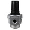 1/2" Air Compressor Pressure Regulator with Gauge and Wall Mounting Bracket R704N