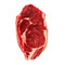 Boneless Ribeye Steak 1" Tail Choice 16 Ounces