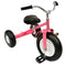 Pink Tricycle with Wagon Set Pull Along Trike Toy Outdoors Kids Exercise Valley