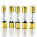 Pack of 5 Car Audio Amp Amplifier Glass 100 A AMP AGU Gold Plated Fuse USA SHIP